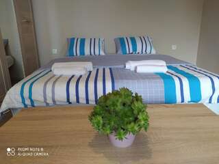 Апартаменты Central holiday apartment niksic Никшич Апартаменты с 1 спальней-11